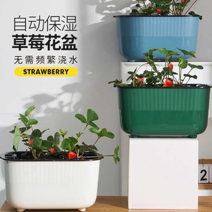 草莓盆栽专用盆长形花盆种花室内A四方长方型阳台种菜种植盆免浇