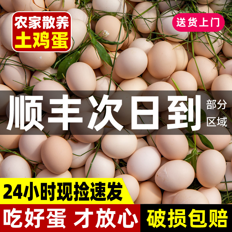 农家散养土鸡蛋真正农村笨柴鸡蛋初生虫草月子土鸡蛋鸡蛋新鲜正宗