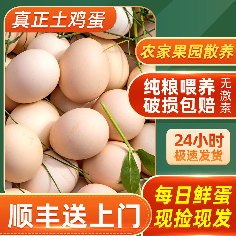 土鸡蛋新鲜正宗农家散养土鸡蛋真正农村笨柴鸡蛋初生虫草月子鸡蛋