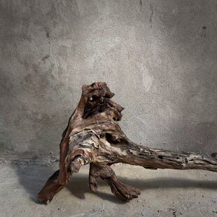 风化木老木头侘寂风枯木摆件沉水木空间装饰朽木造景水池边木头