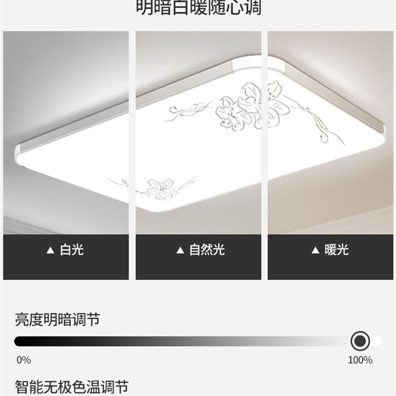 家庭客厅大灯吸顶灯装饰大厅主卧室吊灯现代简约大气2025新中山