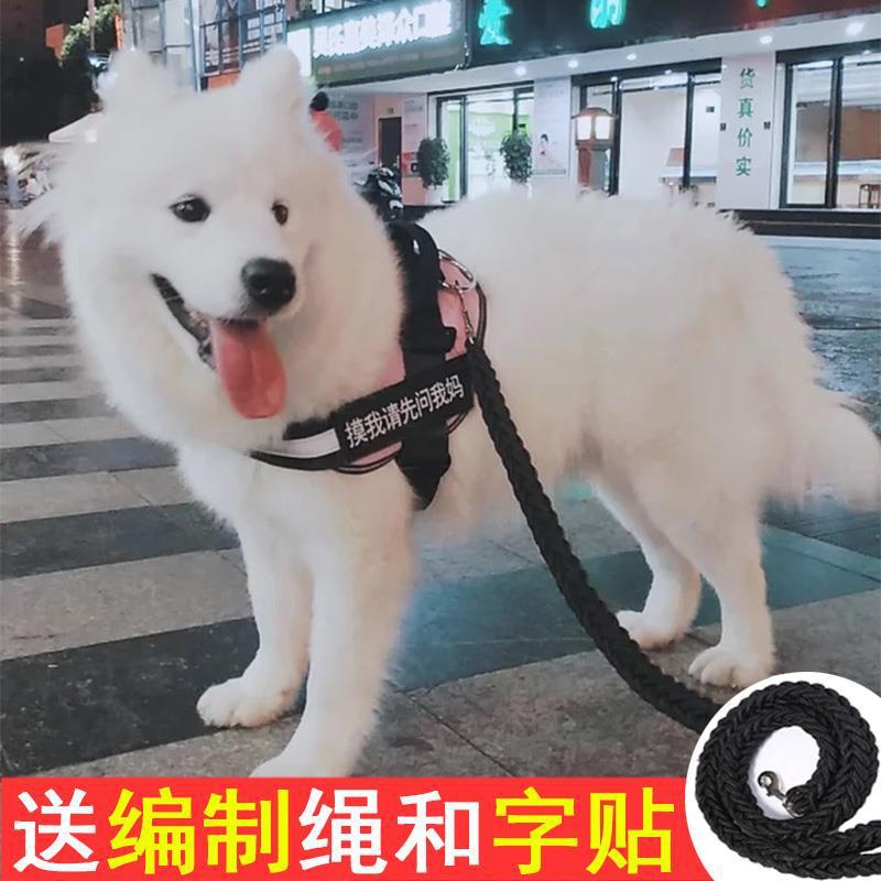 狗狗外出牵引绳胸背带遛