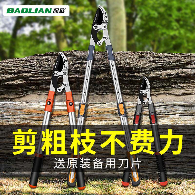 剪枝剪刀果树修枝专用树枝剪园林修剪神器强力修大力粗枝大枝省力图片