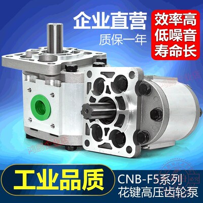 液压油泵高压齿轮泵CBN-F532F550平花键轴法兰装载机精密高压油泵