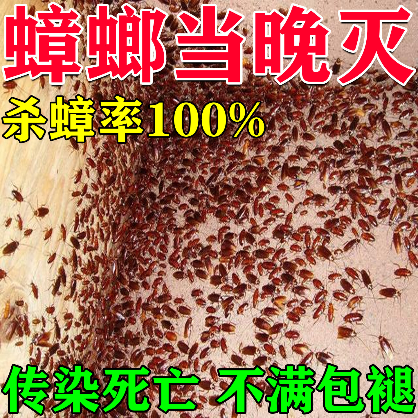 蟑螂药膏诱饵剂一次全窝绝杀家用全窝端虫卵双杀特效去除神器