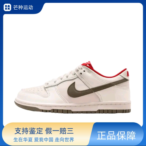 Nike Dunk 板鞋 经典复古百搭 脱缰系列IQ9793-020