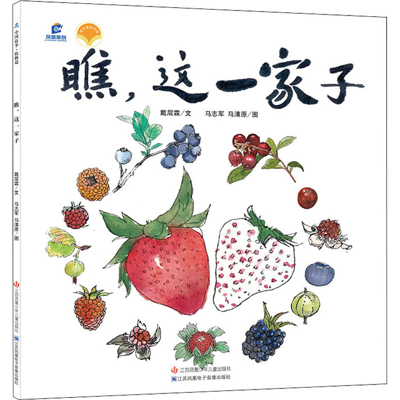 瞧,这一家子 戴层霖,马志军,马清原 著 江苏凤凰少年儿童出版社