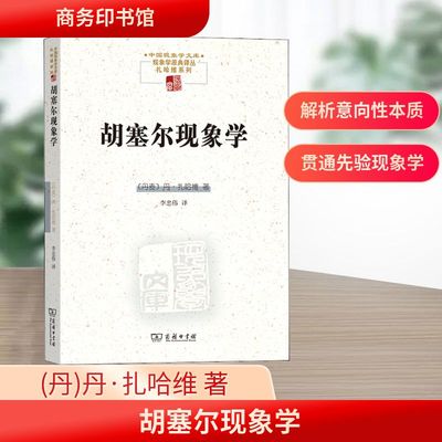 胡塞尔现象学 (丹)丹·扎哈维 著 李忠伟 译 商务印书馆