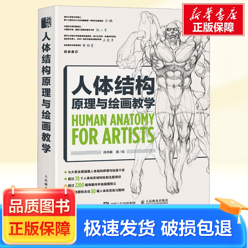 【赠海报+视频+随机亲签】人体结构原理与绘画教学 肖玮春绘  画画的春哥 插画人物结构造型绘画零基础入门自学教材临摹 新华正版