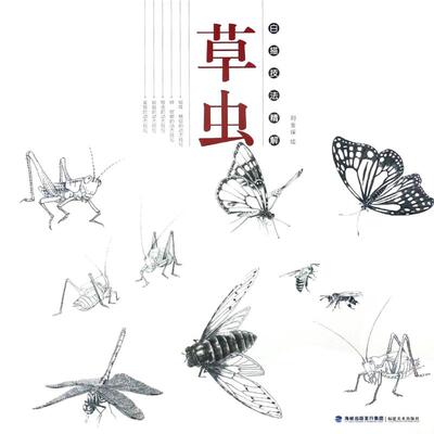 草虫/白描技法精解 绘画:刘金保 著作 福建美术出版社