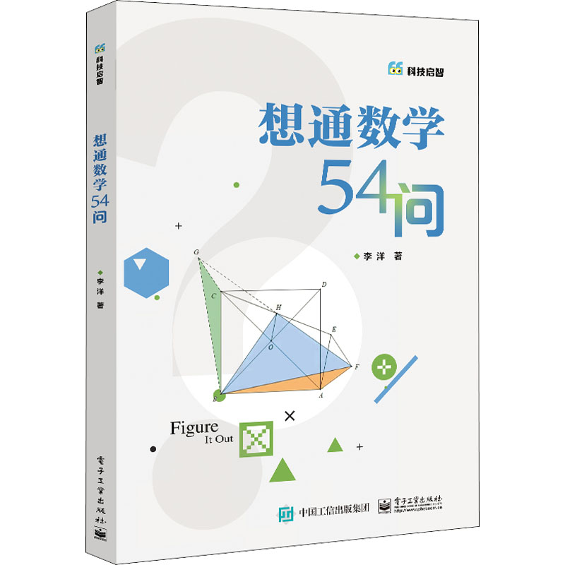 想通数学54问 李洋 著 电子工业出版社 9787121442964