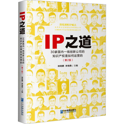 IP之道 30家国内一线创新公司的知识产权是如何运营的(第2版)