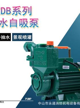 小型家用水井抽水泵1ZDB-35建筑工地自动洒水系统喷淋灌溉自吸泵