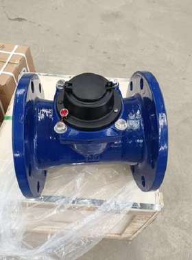 低压水表(DN100 2.5MPA)（中西器材）型号:M327187 库号：M327187