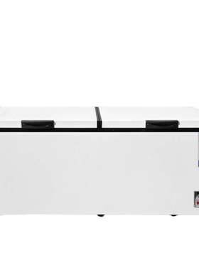 外贸出口商用大容量冰箱deep freezer冷藏冷冻两用冷冻柜