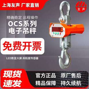 上海友声电子吊秤1t2t3T5吨10行车吊打印秤15无线吊钩秤吊磅吊称