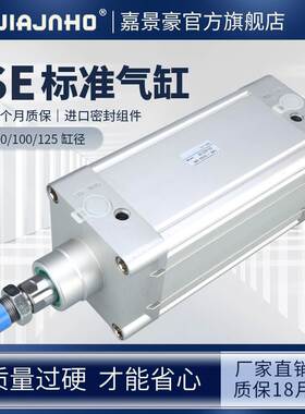 SE/DNC标准气缸大推力SE80/100x25x50x75x100x125x150x175x200-s