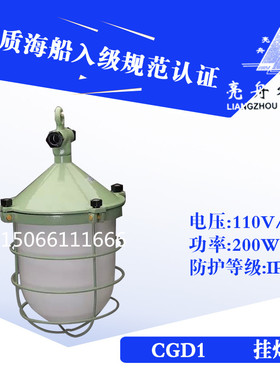 上海亮舟船用水密白炽灯CGD1铸铝大功率挂灯220V200W甲板码头炉灯