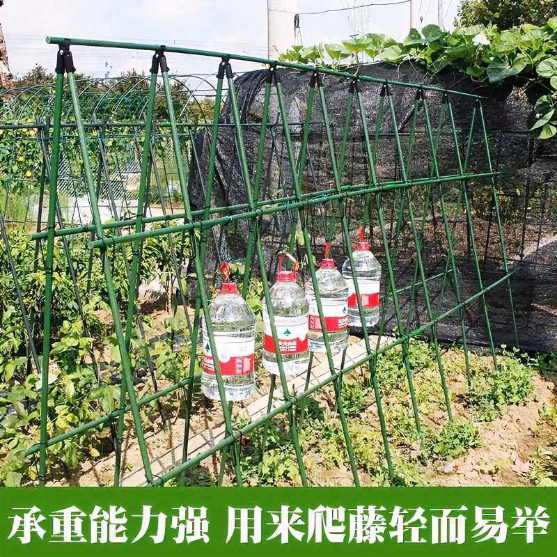 爬藤架种菜架子园艺花架花园阳台花爬架植物豆角黄瓜架丝瓜架户外