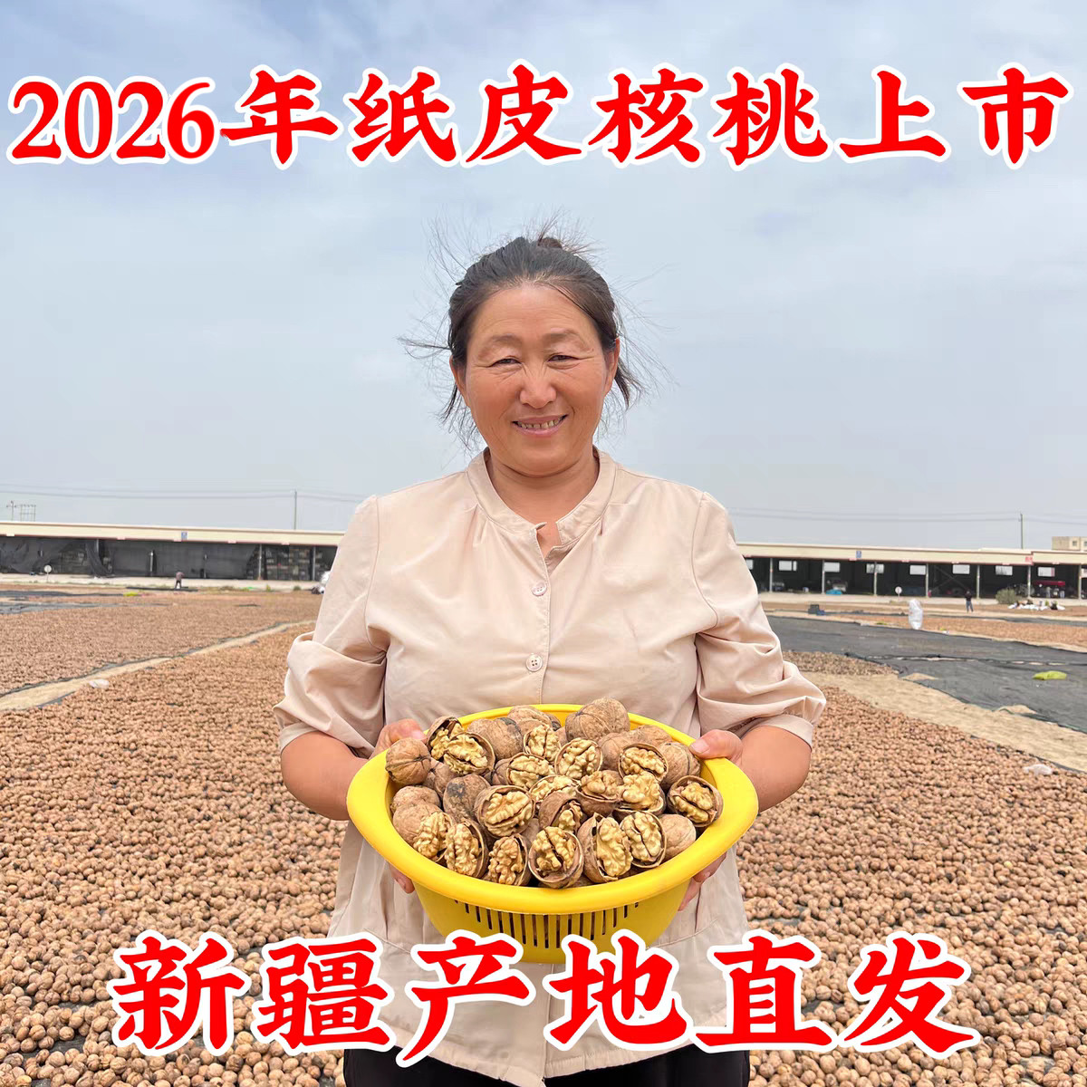 2026年新货新疆185纸皮核桃新疆特产薄皮核桃原味无漂白无添加