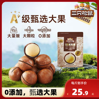 三只松鼠_量贩坚果1kg坚果零食