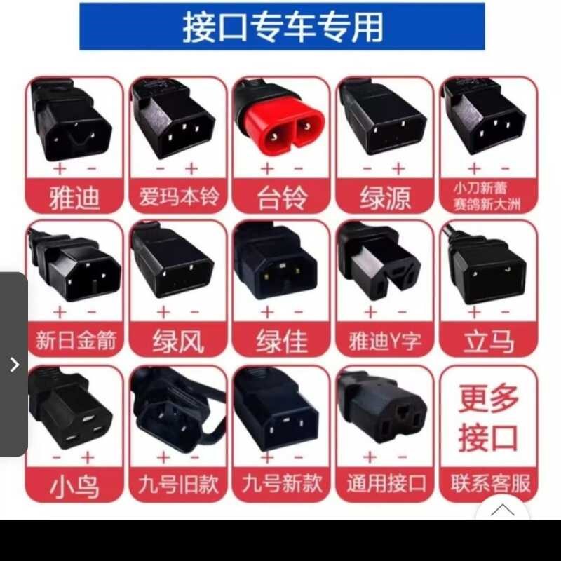 金箭电动车充电器新日电拼车充电器智能灌胶防水48V20ah/W60v20ah