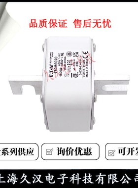 170M6018 170M6019 170M6020 170M6021 BUSSMANN 熔断器 保险丝