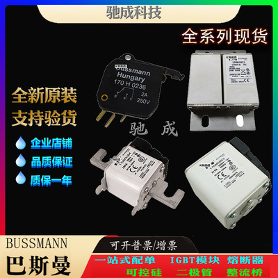 巴斯曼170M7144 170M7145 170M7146 长期批发厂价销售 方体熔断器