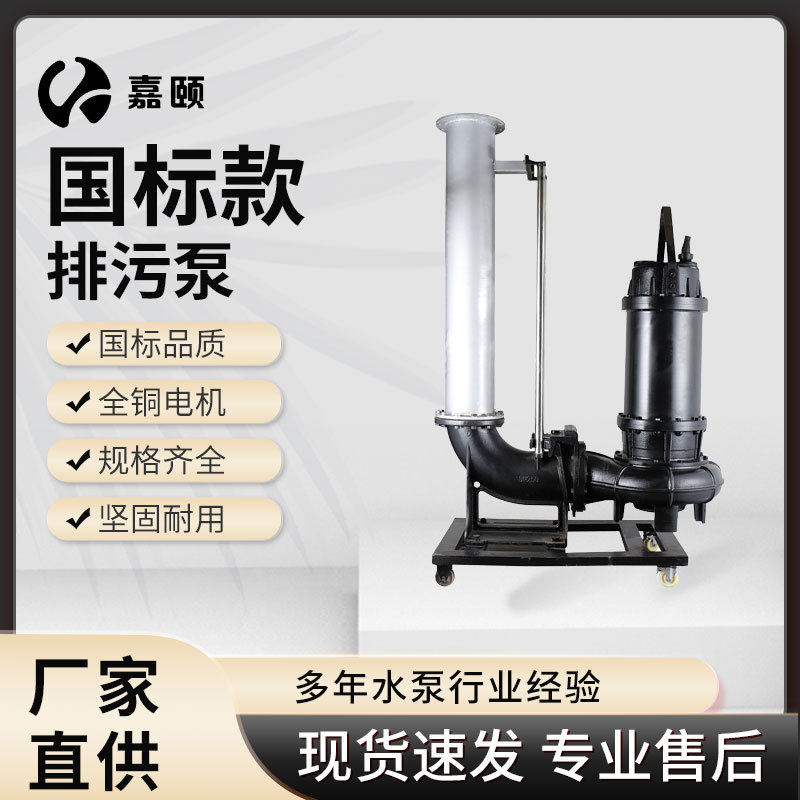 排污泵160KW4-6级污水提升器滑轨式地下室泵站集水坑耐用水泵批发