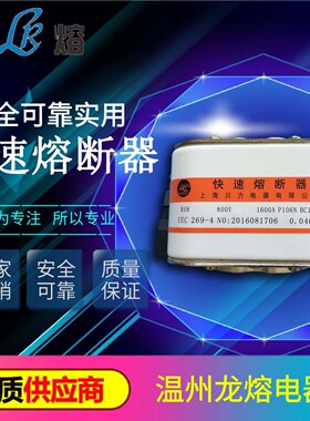 快速熔断器RS8 800V 1600A P106N BC100KA 105*60 厂家直销