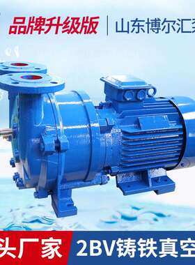 真空泵水环式真空泵2BV真空泵抽气泵耐腐蚀真空泵供应淄博