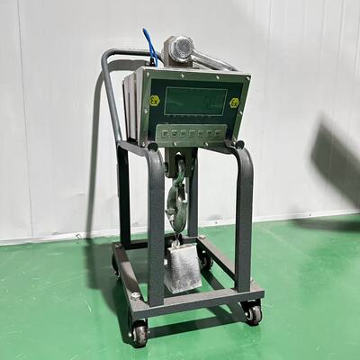 1000kg/3吨本安隔爆电子吊秤