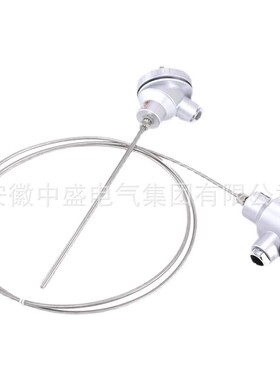 铠装高温热电偶WRNK-191