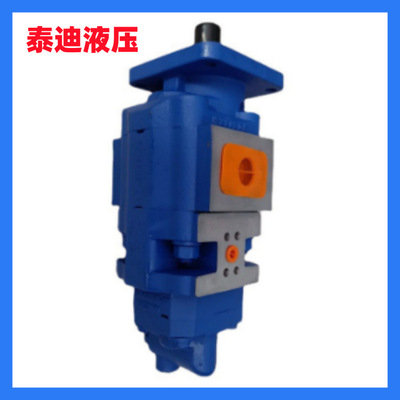 P5100-F80TA4676/F40ZACG双联泵 徐工50G装载机散热泵803007027