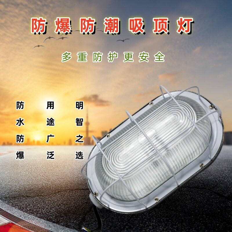 LED防潮防爆三防灯户外吸顶