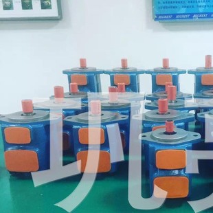 45V60A 45V50A 现货威格士叶片泵45V45A 1B22R