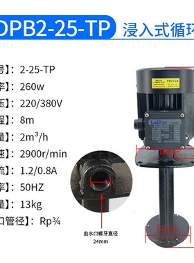 LuiKar洛凯LDPB2-25-TP线切割水箱中走丝加工中心雕刻雕铣机水泵