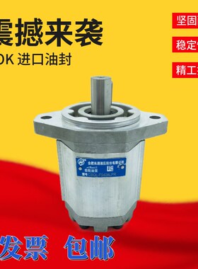 HCHC合肥长源液压齿轮泵CBQL-F540LPR CBQ-F532/550/563-AFP CFH