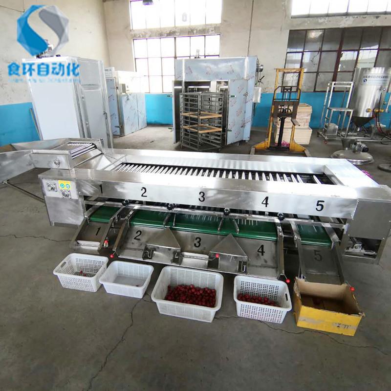 全自动选果机重量分选机柑橘柚子大小分选机分级机