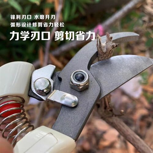 盛日家用果树剪刀修枝神器剪花卉摘果剪树枝剪刀绿化嫁接园艺剪刀