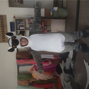 人偶服卡通服装玩偶道具来图定做成人面具儿童表演头套定制布偶