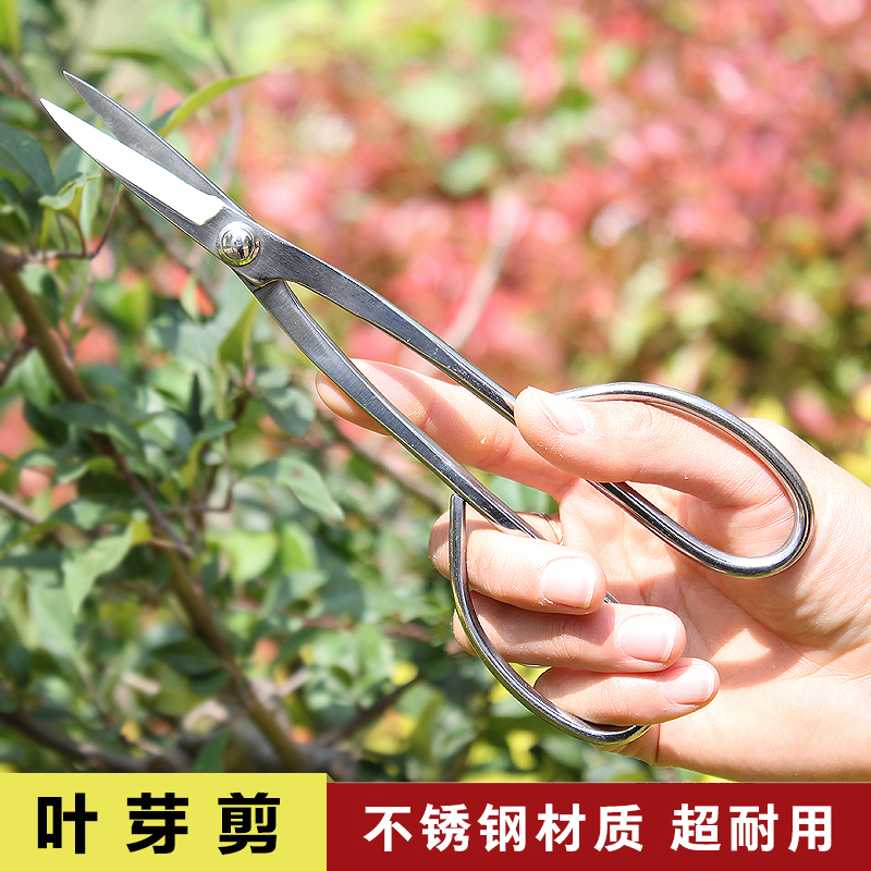 不锈钢叶芽剪盆景盆景造型修剪插花剪刀小枝叶芽剪小铝线剪子