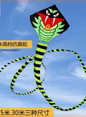 潍坊风筝超长30米蛇风筝x成人儿童初学者微风易飞超大型成人