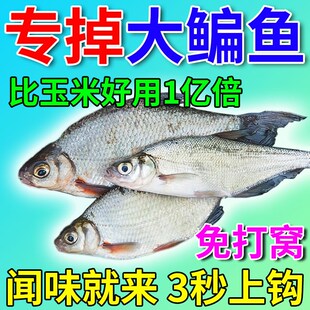 鳊鱼专用饵料野钓黑坑溪流主x攻鳊鱼扁鱼草鱼青鱼四季通杀爆护饵