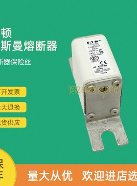 全新快速熔断器保险1i70M2065 170M2066 170M2067 170M2068