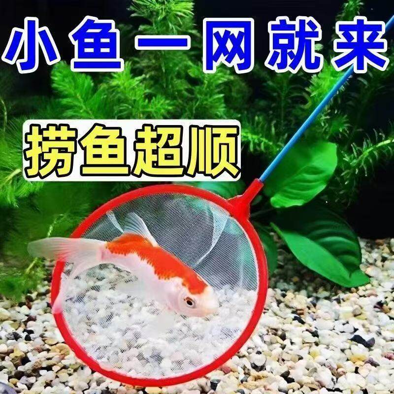 鱼缸鱼捞捞鱼网兜鱼捞手抄鱼网金鱼热带鱼渔捞密网小孔鱼缸捞鱼网