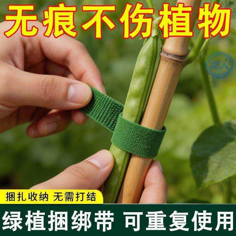 植物绑带爬藤魔术贴双面