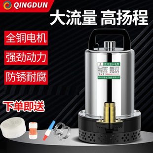 60灌溉小型抽水泵抽水机家用24V农用电瓶48V电瓶车V12V电动潜水泵