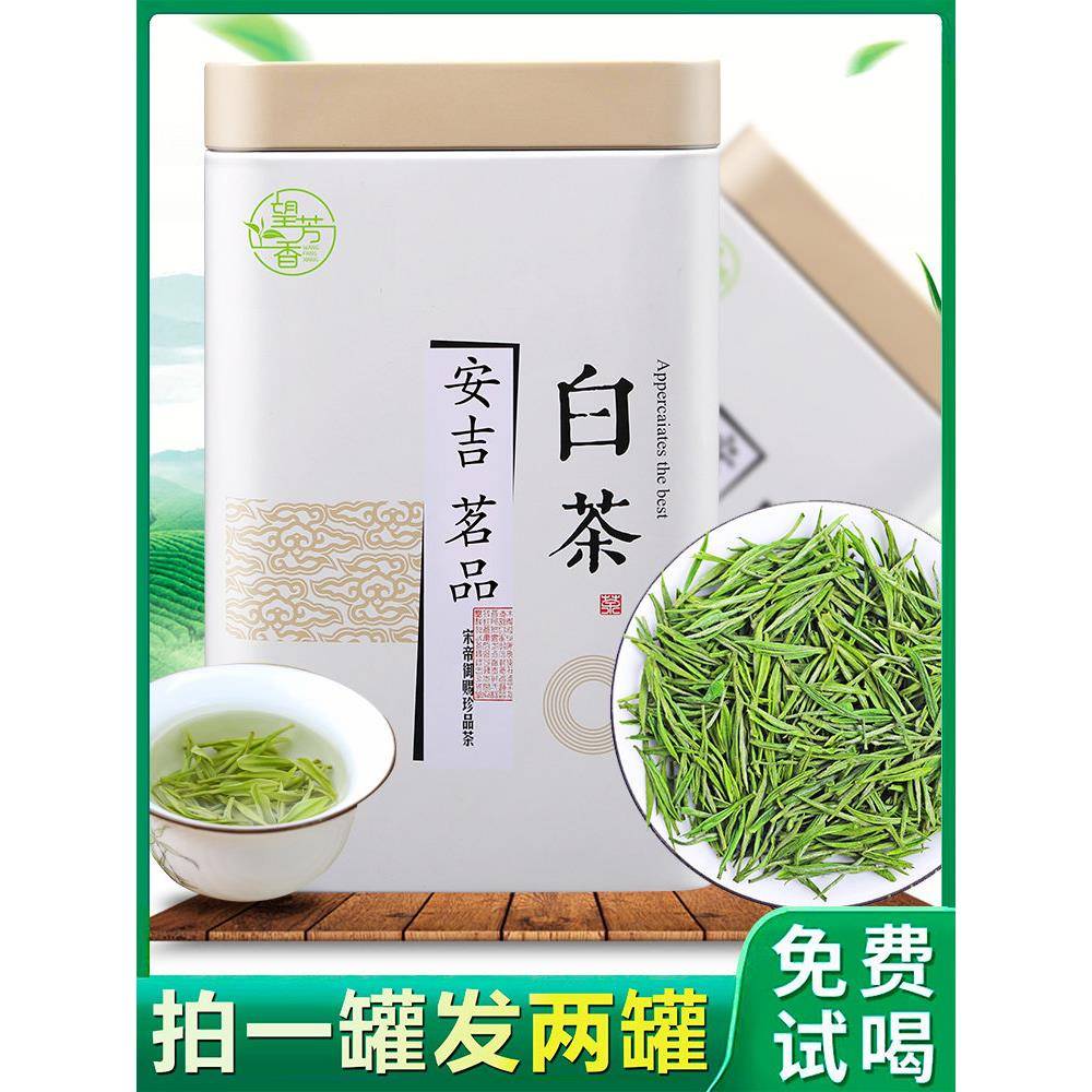 正宗白茶吉安高山2025新茶定量高山雨浙江特级名贵茶绿茶