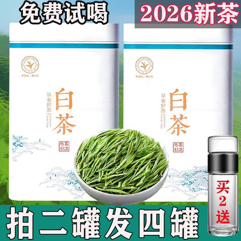 【明前嫩芽白茶买二罐发四罐】2026新茶正宗高山珍稀白茶毛尖礼盒
